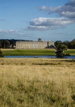 Petworth House